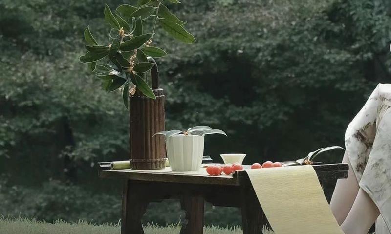 茶饍:中国茶配中国菜，邂逅一场千年的诗意浪漫！