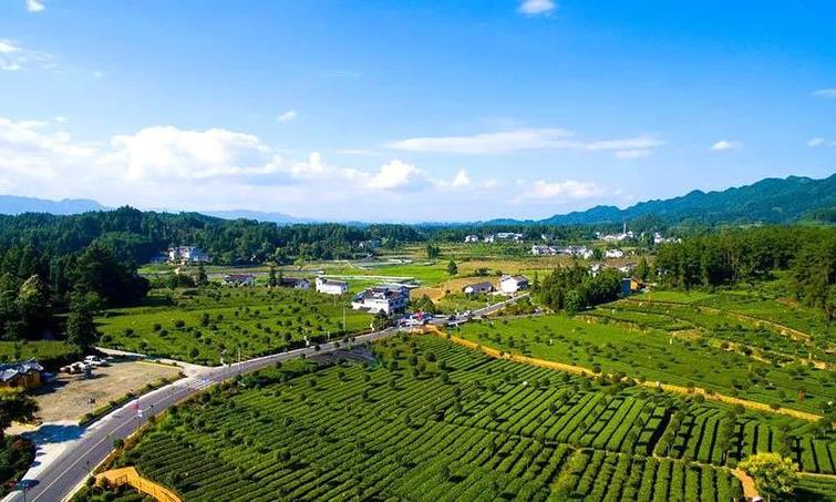 茶城，以诗为证