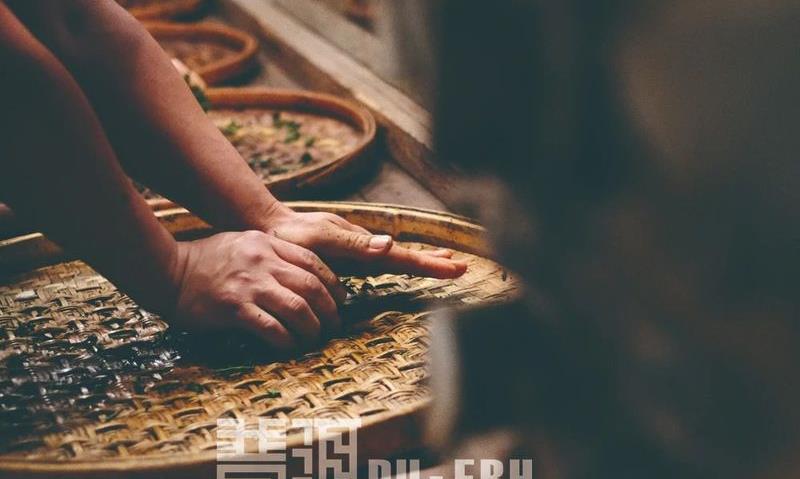 识茶,以科学的精神