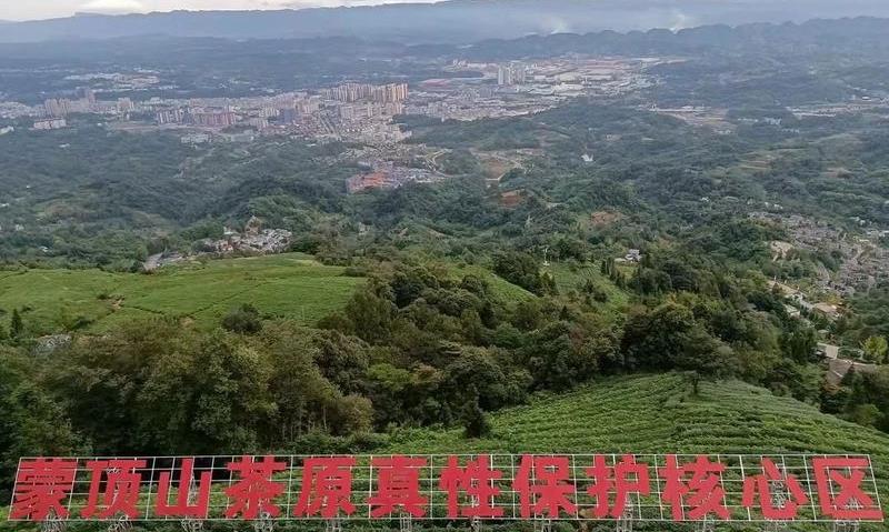 “茶皇”乾隆痴爱蒙顶山茶