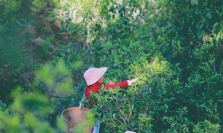 在变幻流转的时空里，为你记录