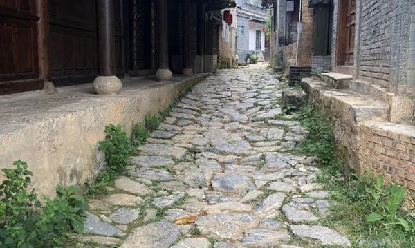中国茶叶的历史轮廓