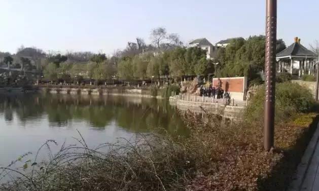 紫砂矿脉大科普，让你全面了解黄龙山