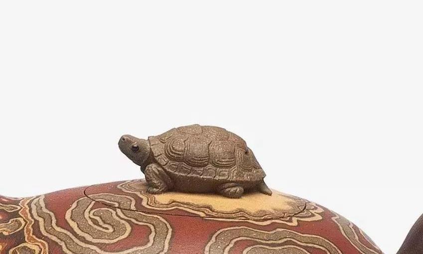 “壶钮”虽小,却作用巨大!可别小瞧了它们哦!