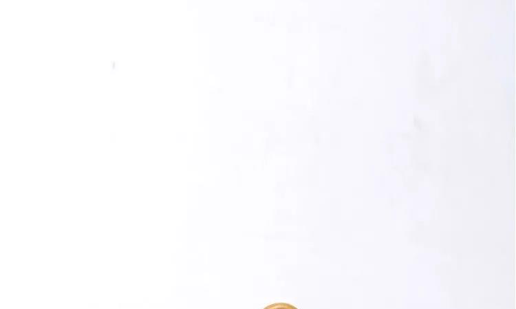 摶 |《子冶石瓢》范鹏制 陆逸舟装饰