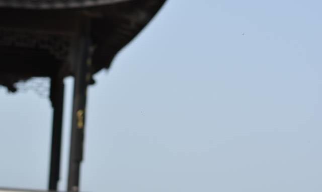 上新桥壶，平板桥作钮！