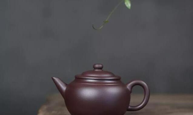 紫砂壶长期放置不当易发霉,实用2招帮你避免