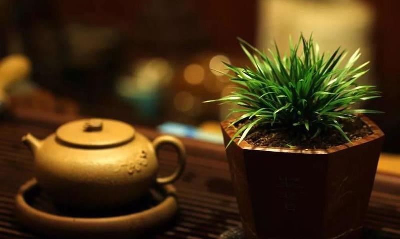 玩壶入门的三个必经阶段