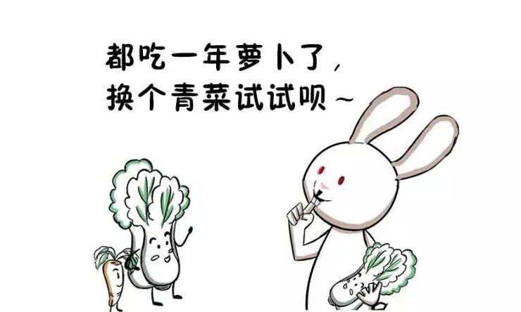 泡普洱,究竟谁才是最走心的茶具?