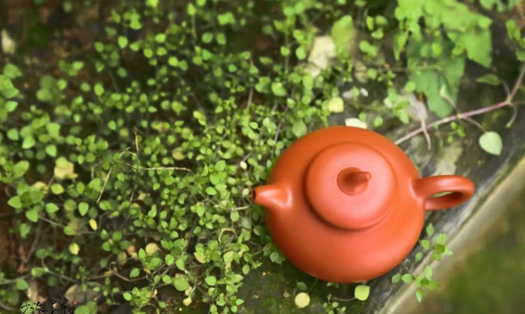 什么是“壶势”?