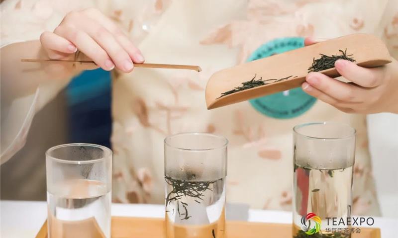 这几种泡茶必备的茶具，你都用对了吗？