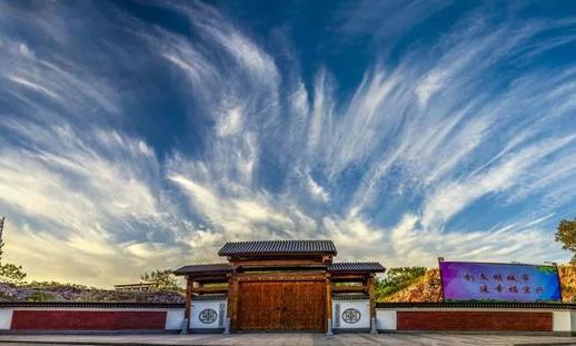 不知道如何玩壶?不妨看看这篇文章!