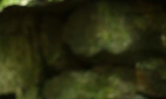 用“竹子”编织而成的紫砂壶你见过吗