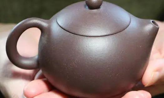 龙蛋壶、文旦壶与西施壶,你分得清吗?