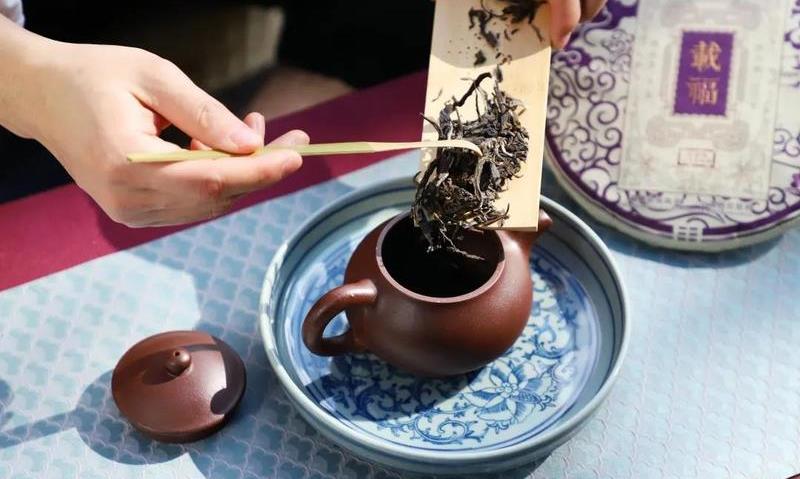 紫砂壶为什么最适合冲泡普洱茶