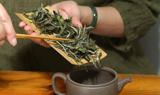 夏天喝什么茶?选什么紫砂壶?
