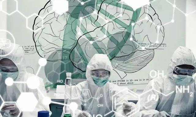 普洱茶中茶氨酸的秘密?