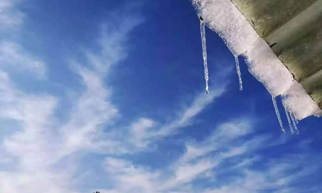 小雪节气养生 冬季抵抗病毒，一定要多喝老白茶