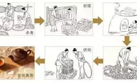 安化黑茶是否好喝，由这两个因素决定