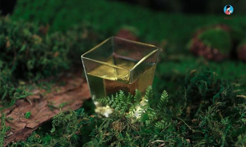 老茶友口中的茶气到底是什么？