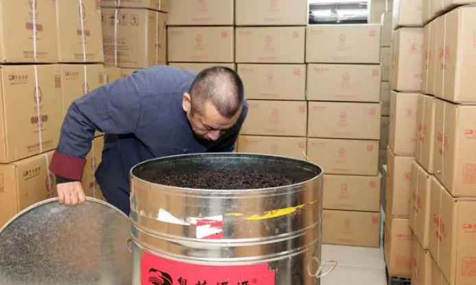 一个人：制茶师用十五年恢复老茶种