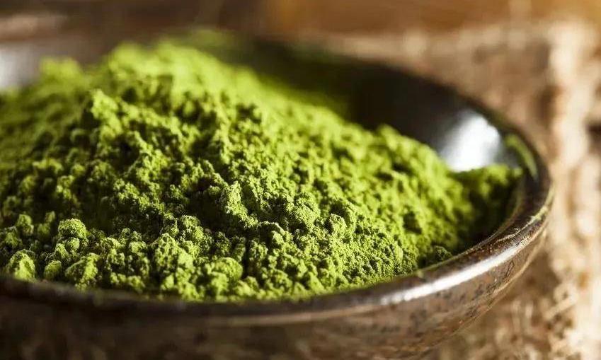 抹茶是用哪些茶树品种做的呢？