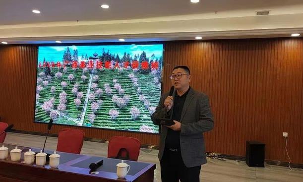 匠心制茶 点“绿”成金——记从百色走出的“广西茶业大师”叶靖平、吴廷帅