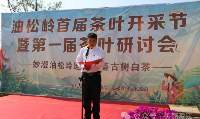 油松岭乡的“茶书记”