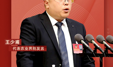 王少甫：推进湘西州茶产业高质量发展的几点建议