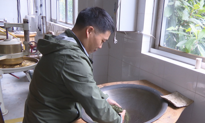 胡晓俊：坚守二十余载 只为那缕悠悠茶香