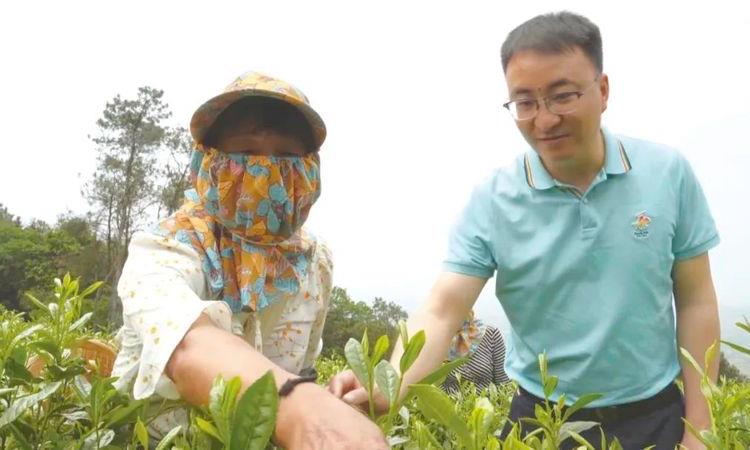 徐晓东：坚持高端茶品牌道路 推动农文旅融合发展