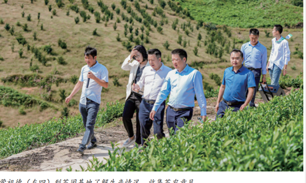 蒙祖德代表：整合力量提升贵州茶品牌知名度