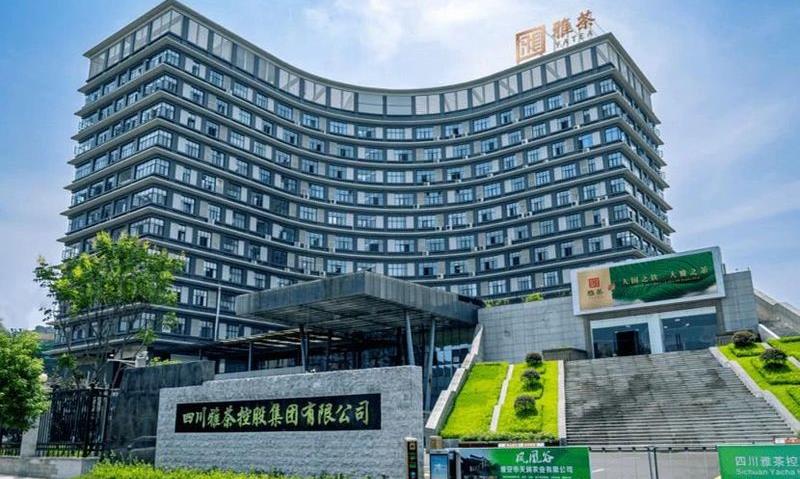 不忘初心踔厉奋发,笃行不怠赓续前行