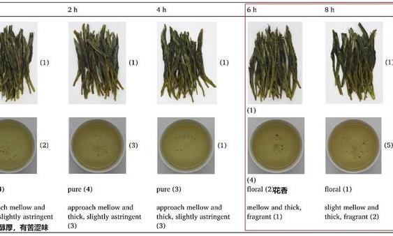 太平猴魁萎凋不够不香，萎凋太过变“糙”