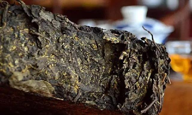 黑茶“金花”是个宝 你不知道它的好处吗？