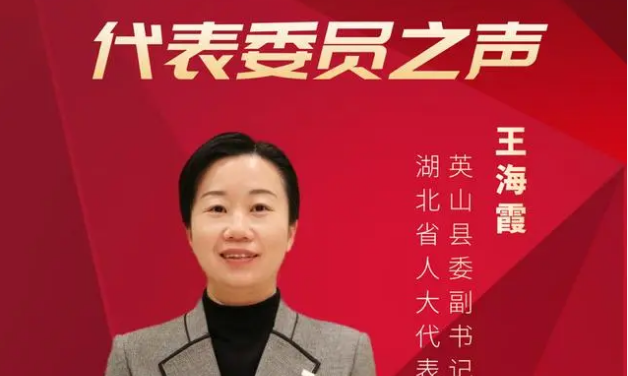 王海霞代表：支持“英山云雾茶”高质量发展