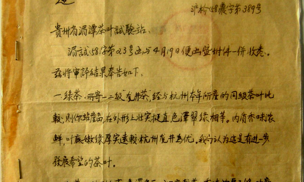 贵州龙井的前世今生