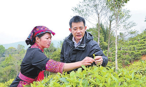 吃上“茶叶饭” 走上致富路