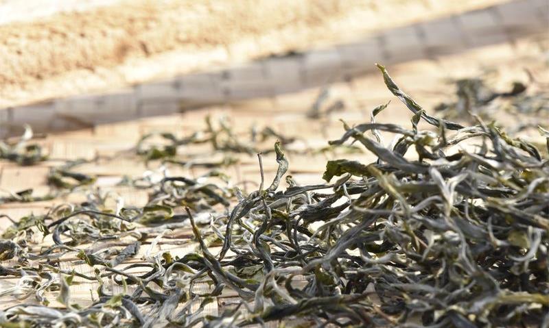 茶把人与人拉得更紧密，拉得更透彻