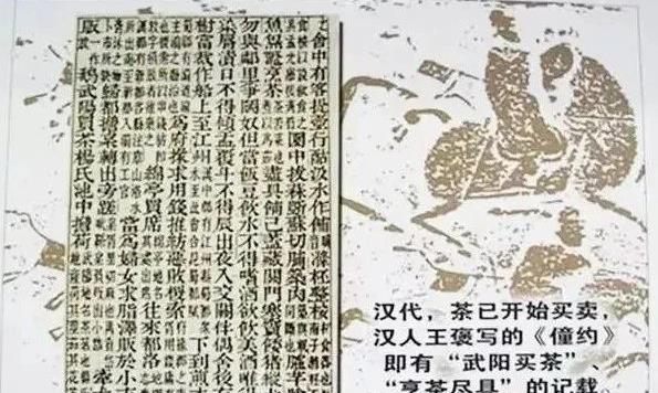 全球首份“茶为商品”证明出自西汉《僮约》