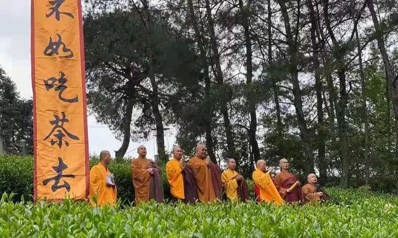 千古茶一盏——武夷岩茶与佛教的不解之缘