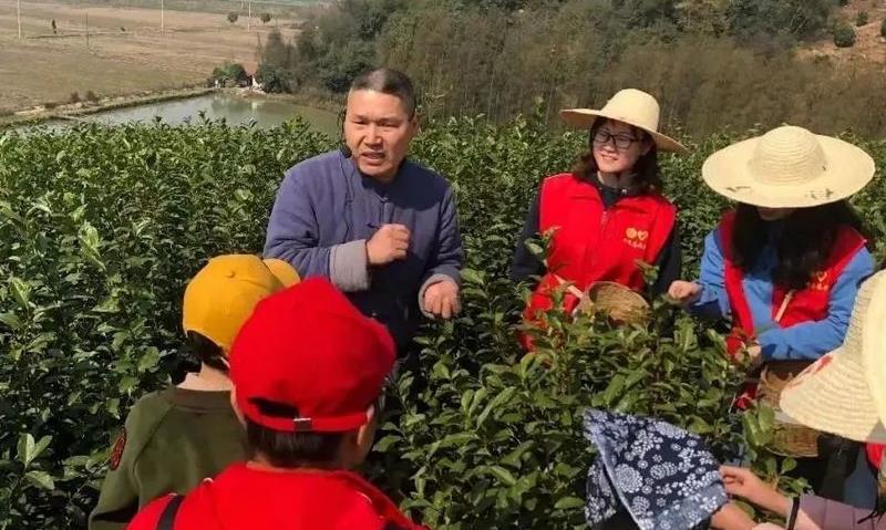 传承制茶技艺 创新茶业发展 ,绍兴市虞舜茶业有限公司