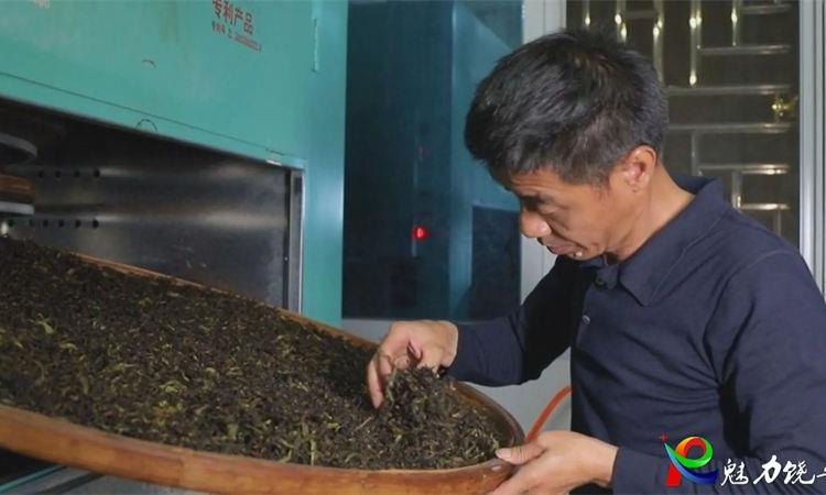 潮州市“最美工匠”李诗忠：以绿色生态铸就茶叶品质，引领茶产业发展