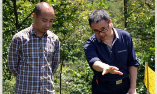 殷尚勤：一生激情 拥吻茶香