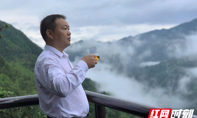 罗新亮：警察变茶农，千亩茶园“解锁”茶旅融合新道路