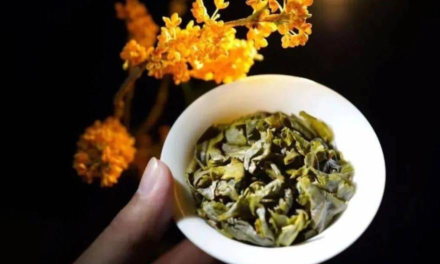 铁观音“传统”与“现代”的区别