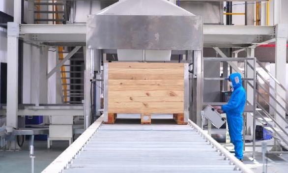 80后“茶博士”胡歆：文化铸魂引领陕茶高质量发展