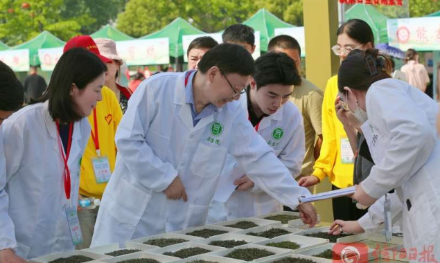 郭桂义：发挥茶产业优势 助力老区振兴发展