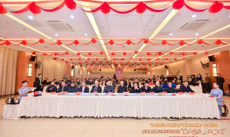 2024年2月茶行业资讯汇总