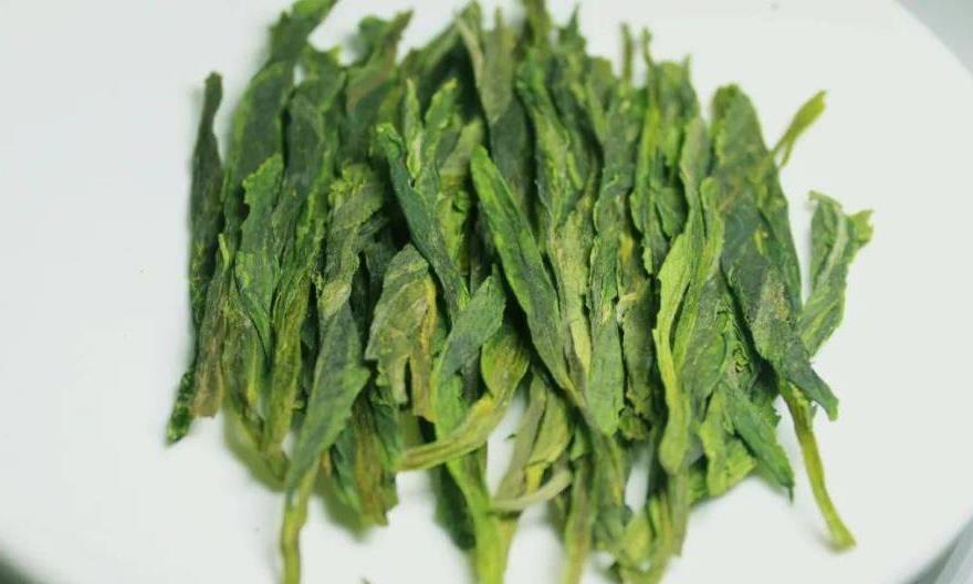 春茶知识合集，建议收藏！